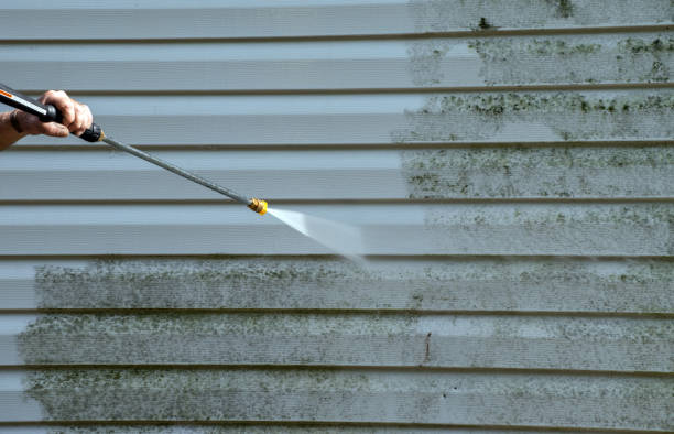 Best Mold Remediation for Specific Building Types in Franklin Farm, VA