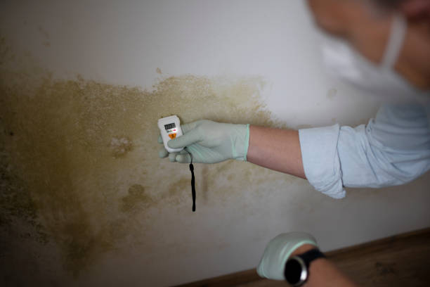 Franklin Farm, VA Mold Remediation Company